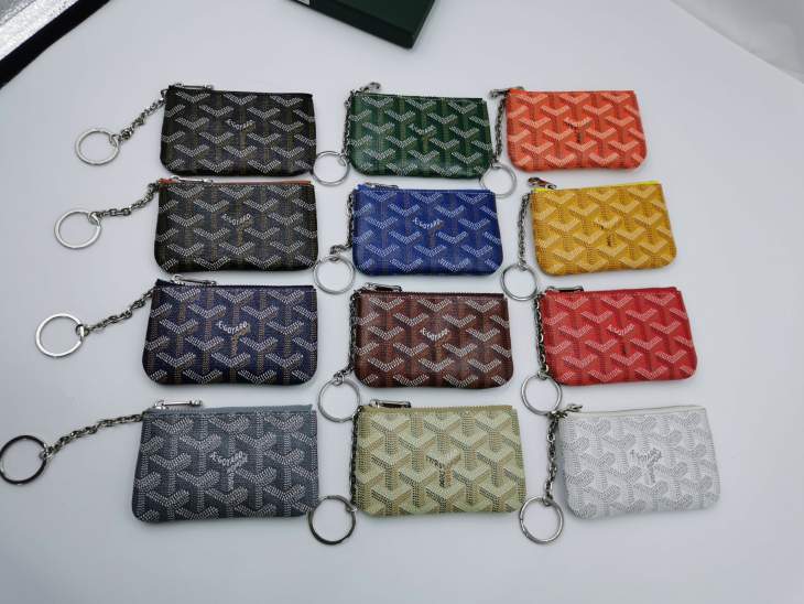 Picture of Goyard Handbags _SKUfw225671125fw